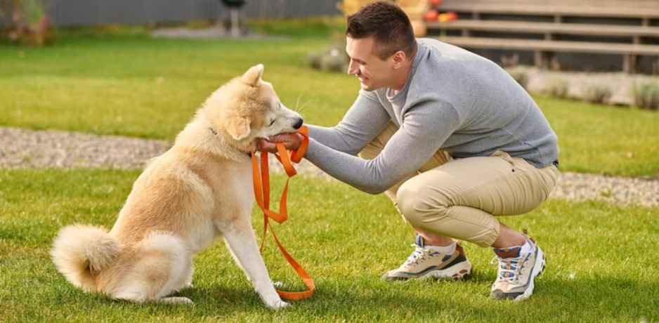 How Dog Training Services Can Help Your Dog Develop Better Behavior
